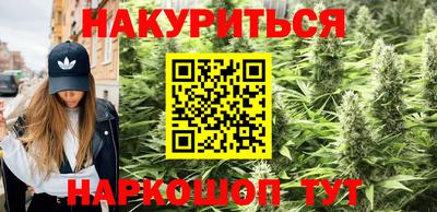 mdpv Краснознаменск